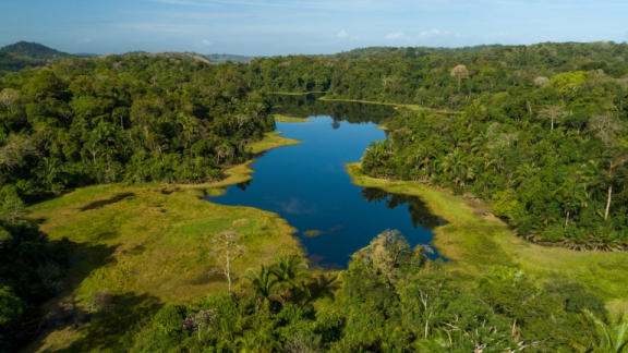 Luftaufnahme eines Regenwalds in Panama