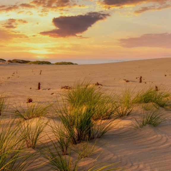 Auswandern nach Tunesien