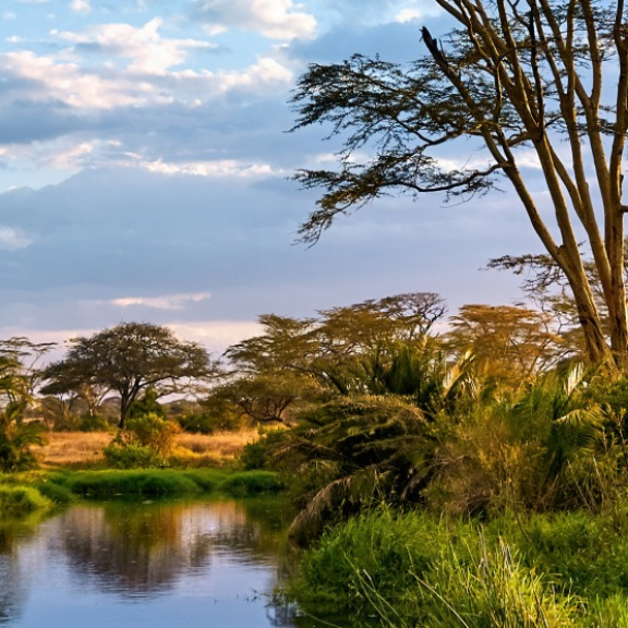 Auswandern nach Tansania