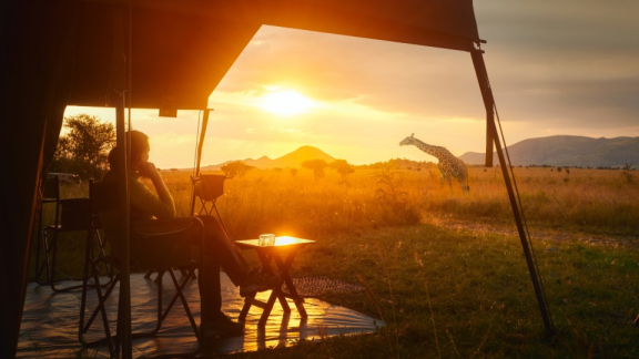 Leben in Tansania - Eine Person sitzt bei Sonnenuntergang vor einem Zelt und beobachtet Giraffen in der Ferne