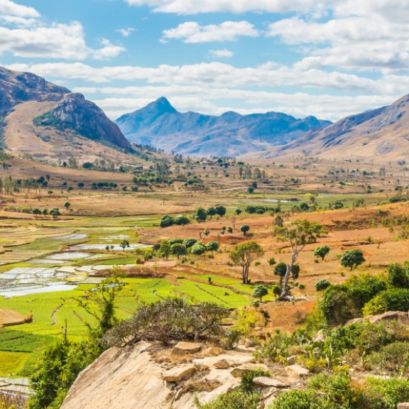 Auswandern nach Madagaskar