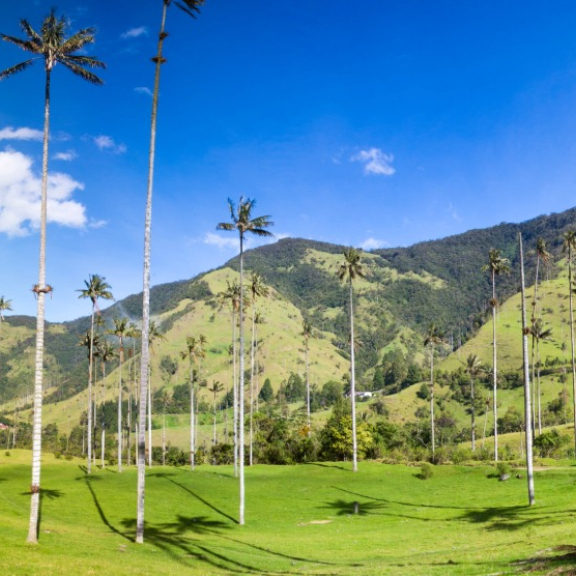 Auswandern nach Kolumbien