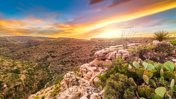 Steinige Landschaft mit Kakteen in Mexiko bei Sonnenuntergang