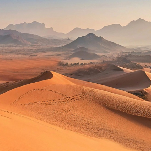 Auswandern in die Vereinigten Arabischen Emirate (VAE)