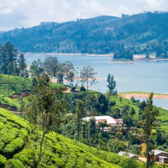 Auswandern nach Sri Lanka