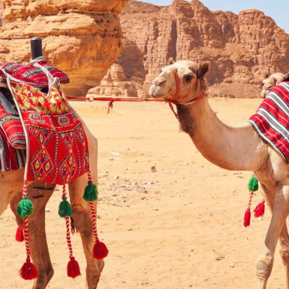 Auswandern nach Saudi-Arabien