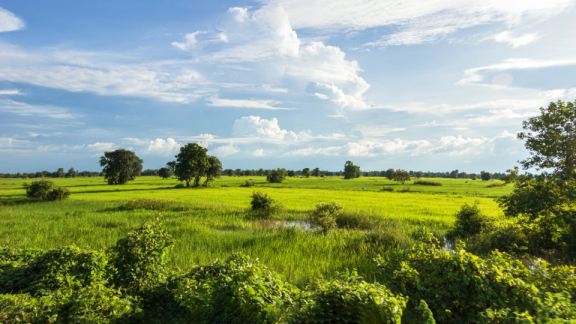 Auswandern nach Kambodscha: Sicherheit
