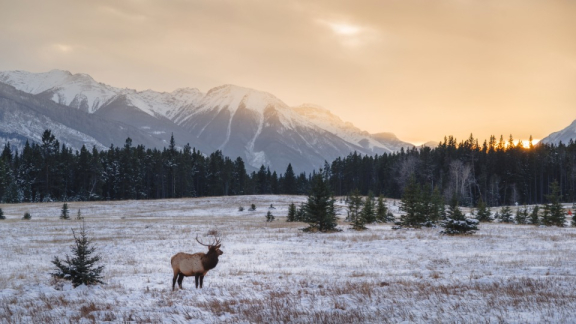 Auswandern nach Kanada: Klima