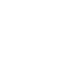 Icon mit Medaille und Sternen – Symbol für Erfahrung und Fachwissen