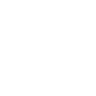 Icon of a ring symbolizing new and high-value goods