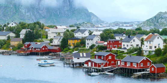 Graue Katze sitzt in Umzugskarton von DACHSER & KOLB – sicherer Umzug mit Tieren in der Schweiz.