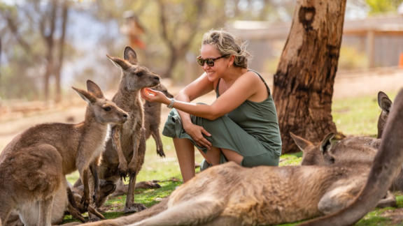 Frau, die zwischen Kängurus auf einer Wiese kniet und eins davon streichelt